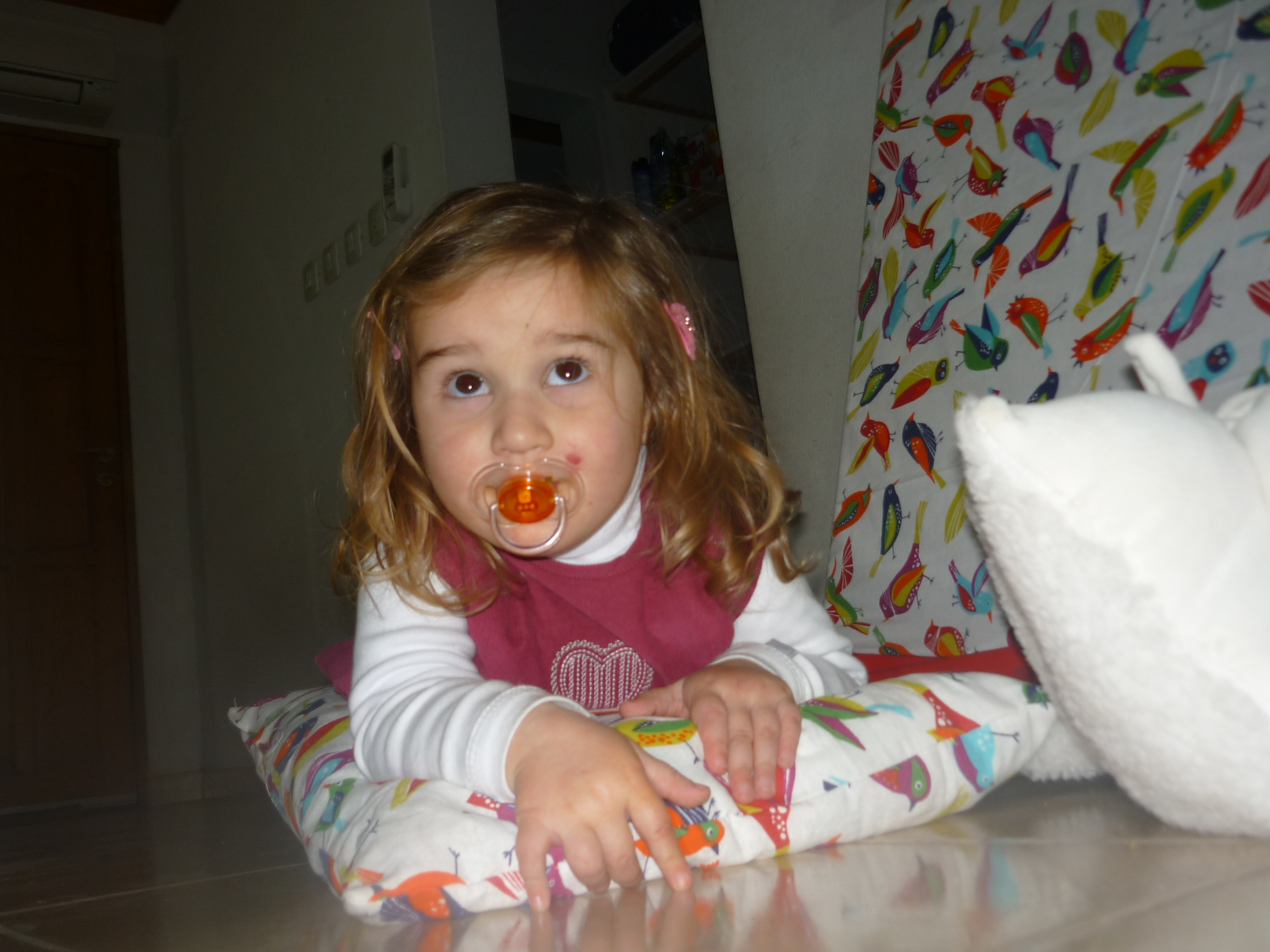 fotos/2012-06-11 - Cumple Nestor Iara/P1020754.JPG